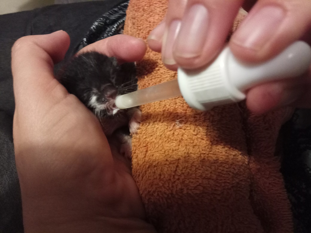 לאפשר לילדיי מה שרציתי ולא יכולתי…